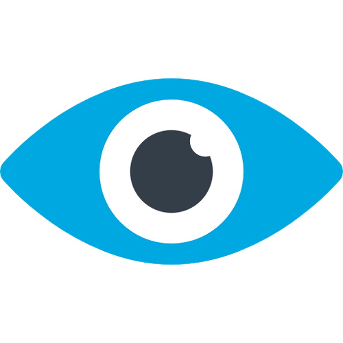 Vision Image